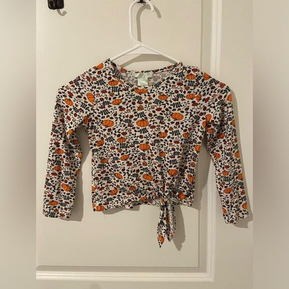 Other - 🎉Pumpkin Patch Print Long Sleeve Shirt